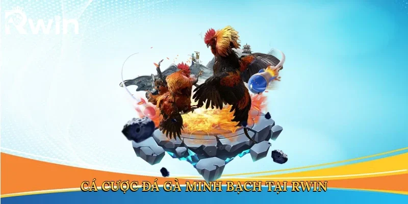 Cá cược đá gà minh bạch tại Rwin