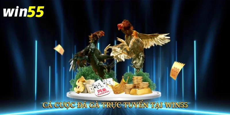ca-cuoc-da-ga-truc-tuyen-tai-win55-3