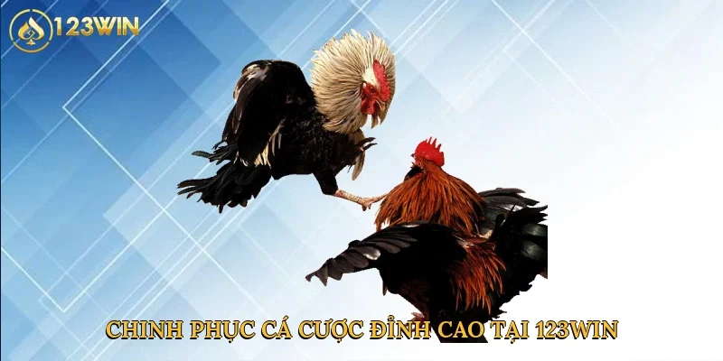 chinh-phuc-ca-cuoc-dinh-cao-tai-123win-4