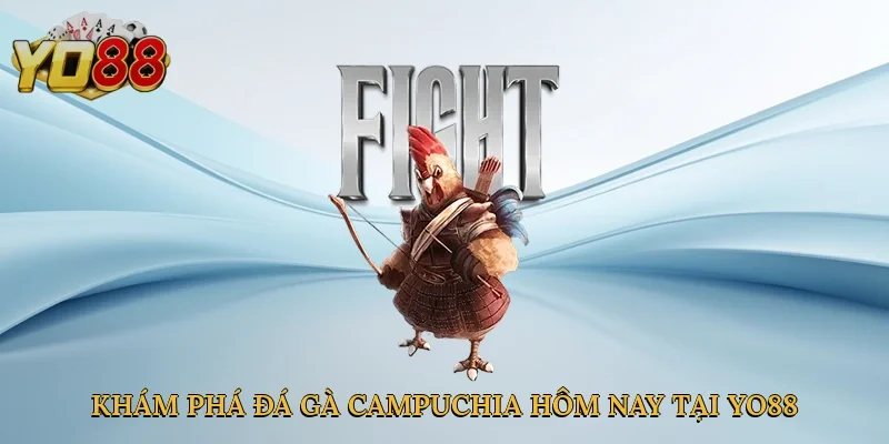 Khám phá đá gà Campuchia hôm nay tại Yo88