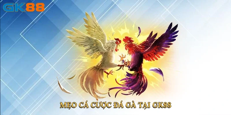 meo-ca-cuoc-da-ga-tai-gk88-4