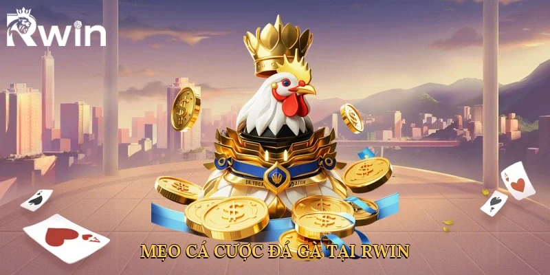 Mẹo cá cược đá gà tại Rwin