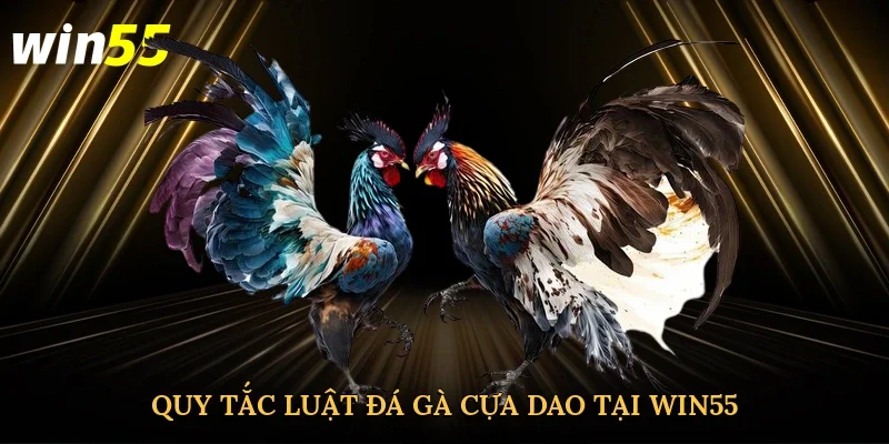 quy-tac-luat-da-ga-cua-dao-tai-win55-2