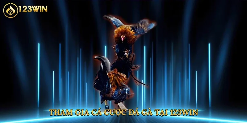 tham-gia-ca-cuoc-da-ga-tai-123win-3
