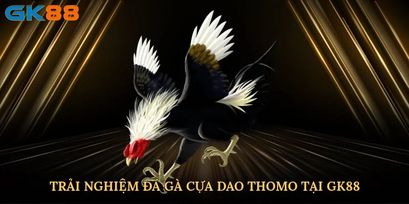 trai-nghiem-da-ga-cua-dao-thomo-tai-gk88-2